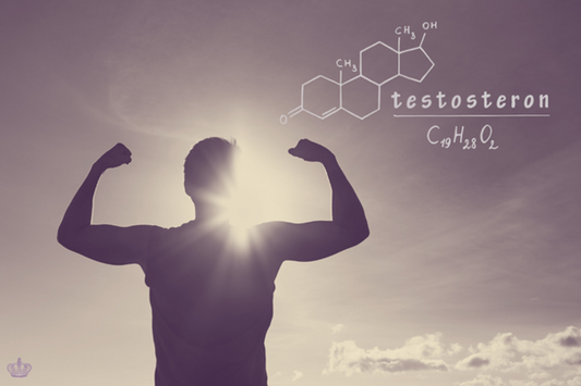 Testosteron verhogen na veertig jaar informatief artikel met praktische tips over voeding beweging en leefstijl
