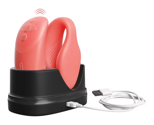 We-Vibe Chorus complete set met premium verpakking en gebruiksaanwijzing