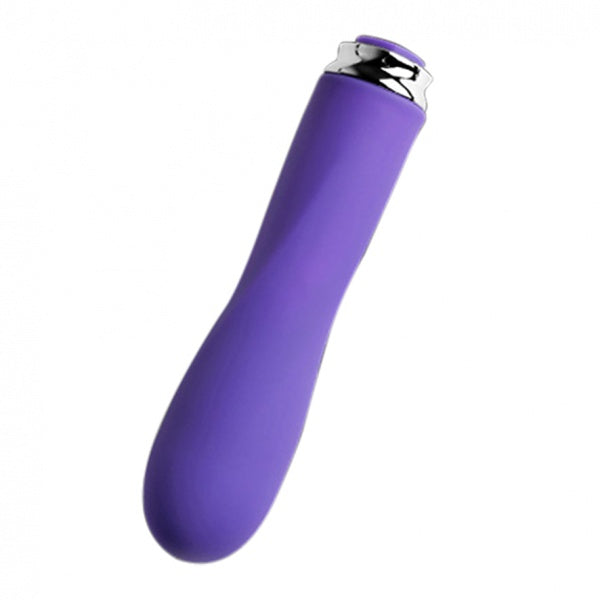 Complete set met Foxy vibrator, oplader en discrete opbergtas