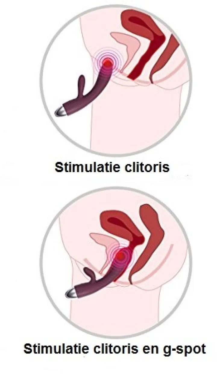 Anatomische doorsnede die toont hoe een rabbit vibrator de clitoris en g-spot tegelijk stimuleert