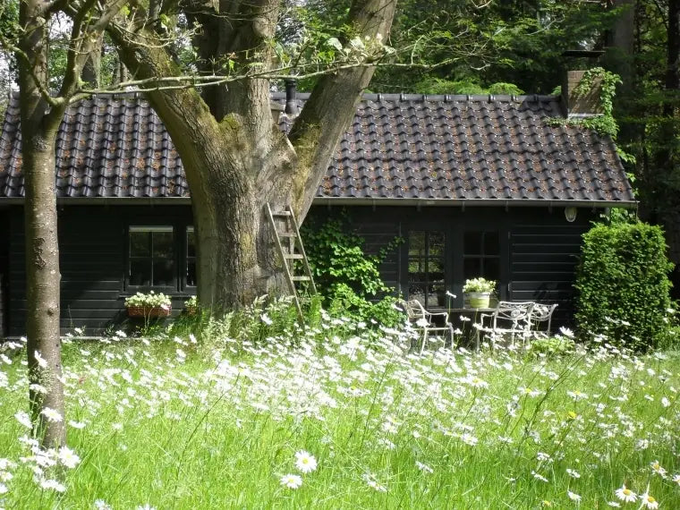 bed & breakfast in Sint Nicolaas